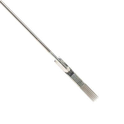 BSN-11MS.jpg