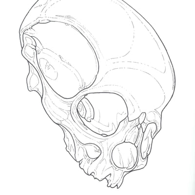 RDD-F2_03_.jpg