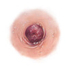 SCR-NTT-A12.jpg