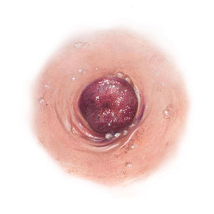 SCR-NTT-A12.jpg