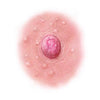 SCR-NTT-AL12.jpg