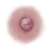SCR-NTT-B12.jpg