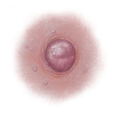 SCR-NTT-B12.jpg