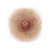 SCR-NTT-H12.jpg