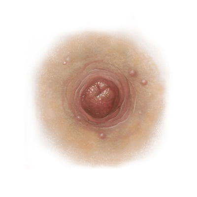 SCR-NTT-H12.jpg