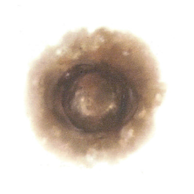 SCR-NTT-JY12.jpg