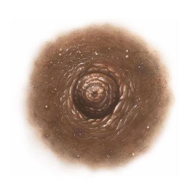 SCR-NTT-N12.jpg