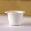 TSP-ICM.jpg