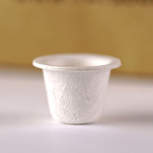 TSP-ICS.jpg