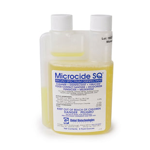 MSQ-4.jpg