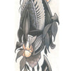 NEO-TV3_01_.jpg